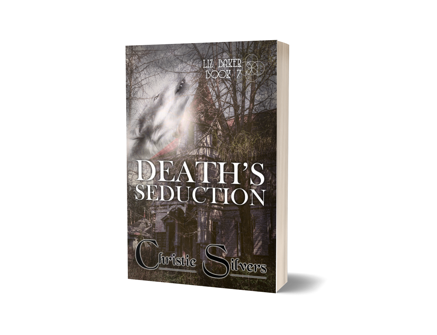 Death's Seduction (Liz, Bk 7) - Paperback