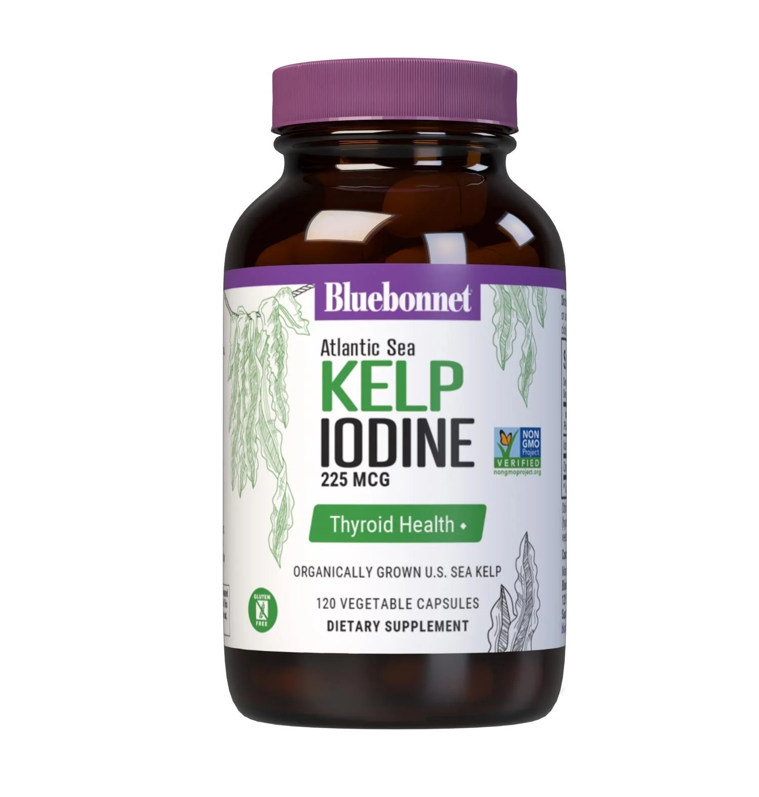 ATLANTIC SEA KELP IODINE