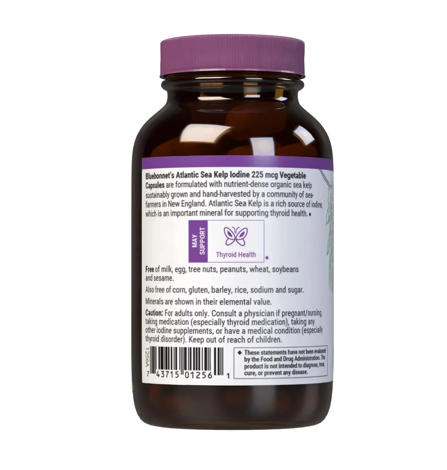 sea-kelp-bottle-desc-side.webp