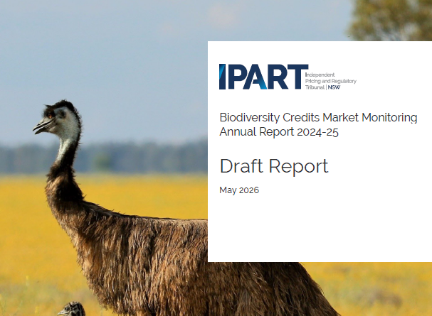 IPART report: A market improving at the edges, stuck at the centre