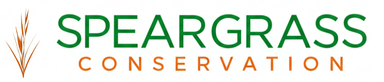 Speargrass Conservation