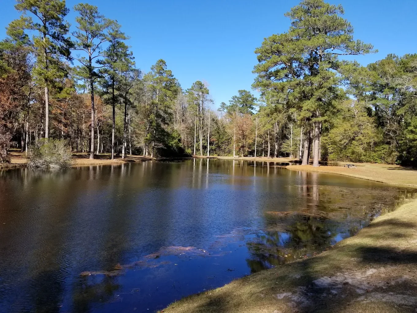 Hit The Trail: Camping at Lee State park
