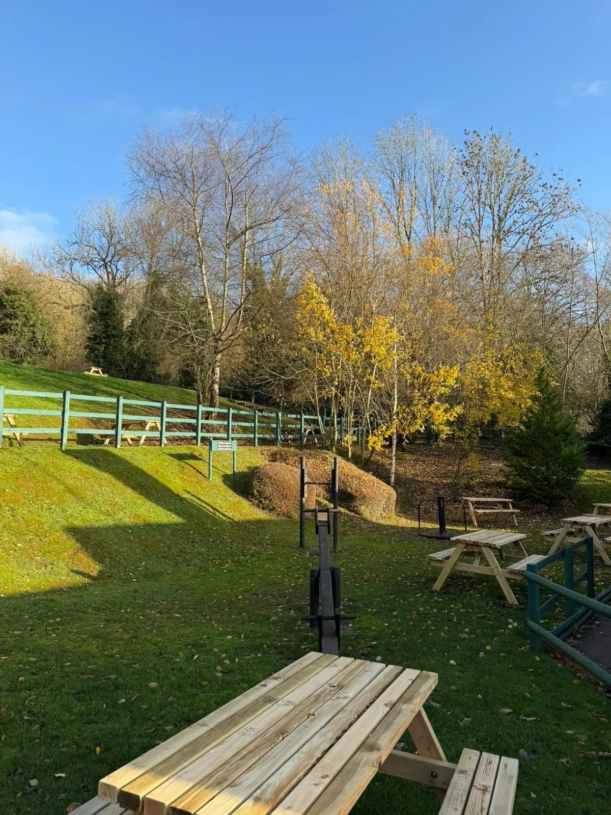 Outdoor park with benches, picnic tables, green grass, and trees with autumn leaves under a clear blue sky.