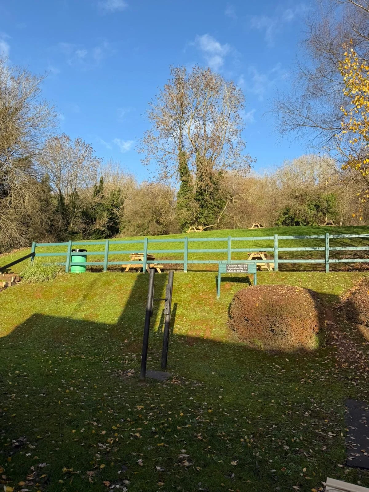 Park with a grassy hill, a blue railing, a trash can, picnic tables, and trees with some leaves falling, under a blue sky.
