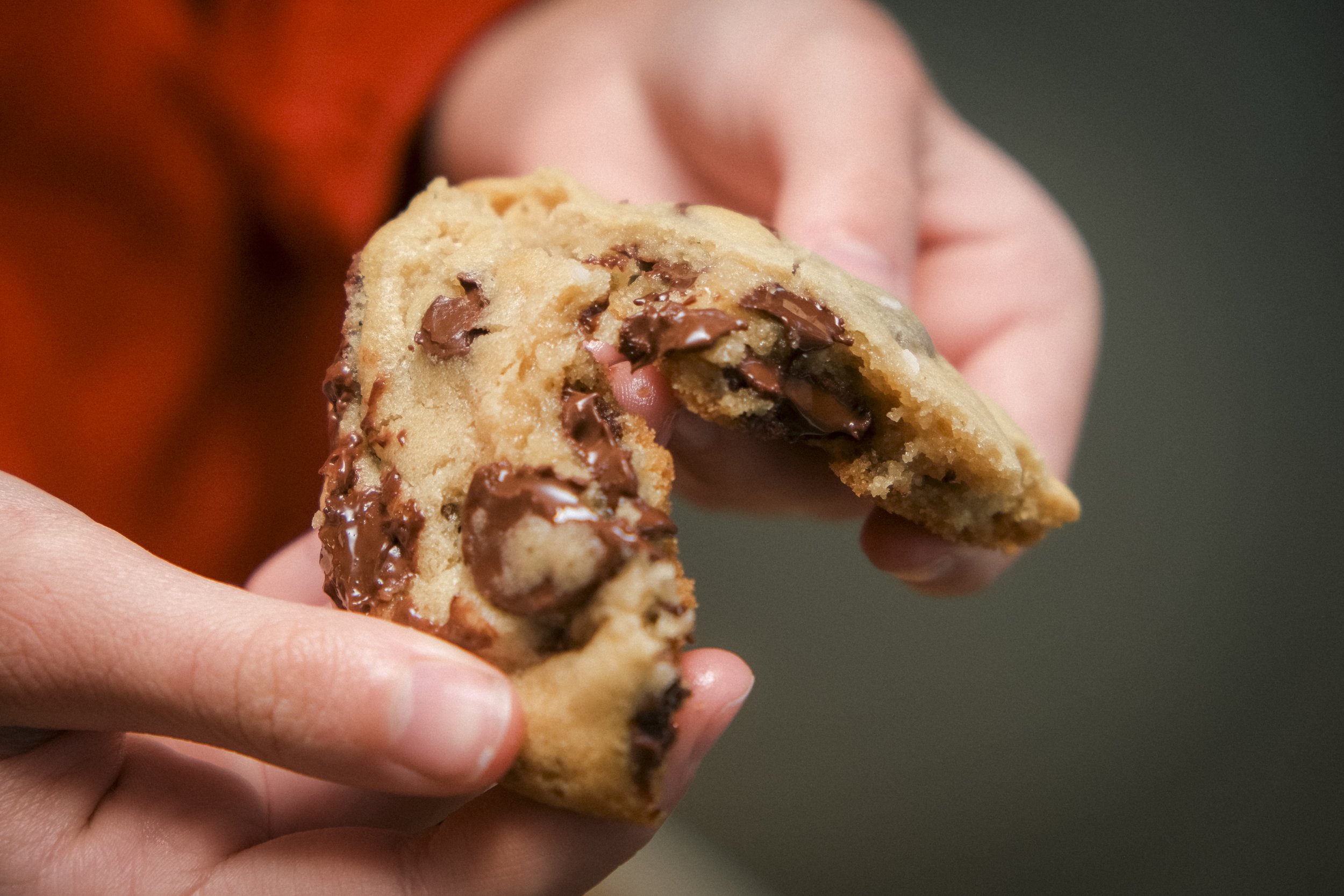 Chocolate Chip