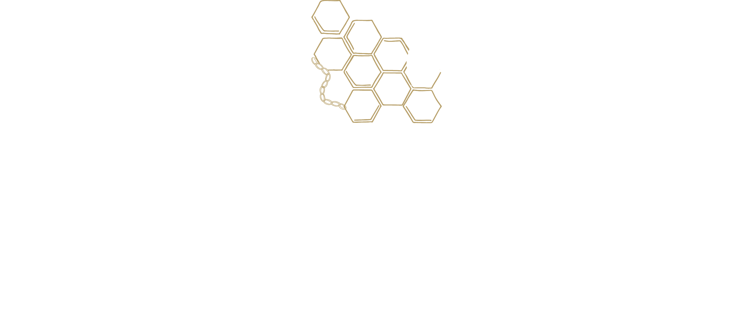 Logo for HoneyLInk, a spray tanning and permanent jewelry business, featuring a honeybee and honeycomb design.