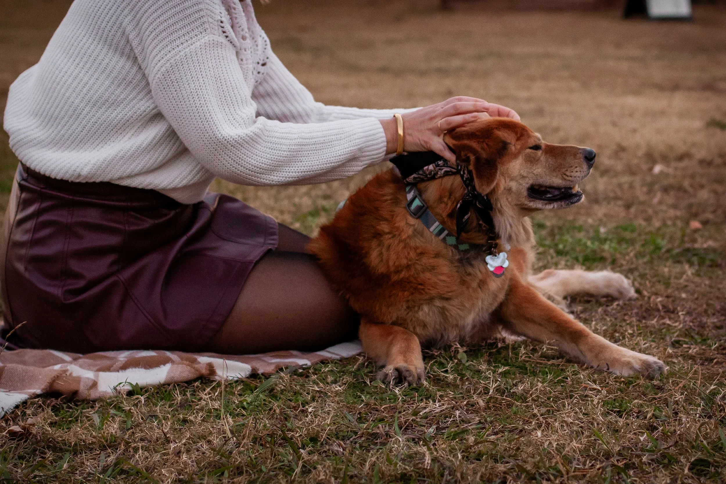 Person kneeling on the ground, petting a golden retriever dog sitting beside them on a blanket in an outdoor grassy area.