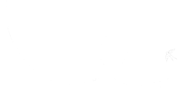 A white squiggly arrow with a bird etched in white at the end.