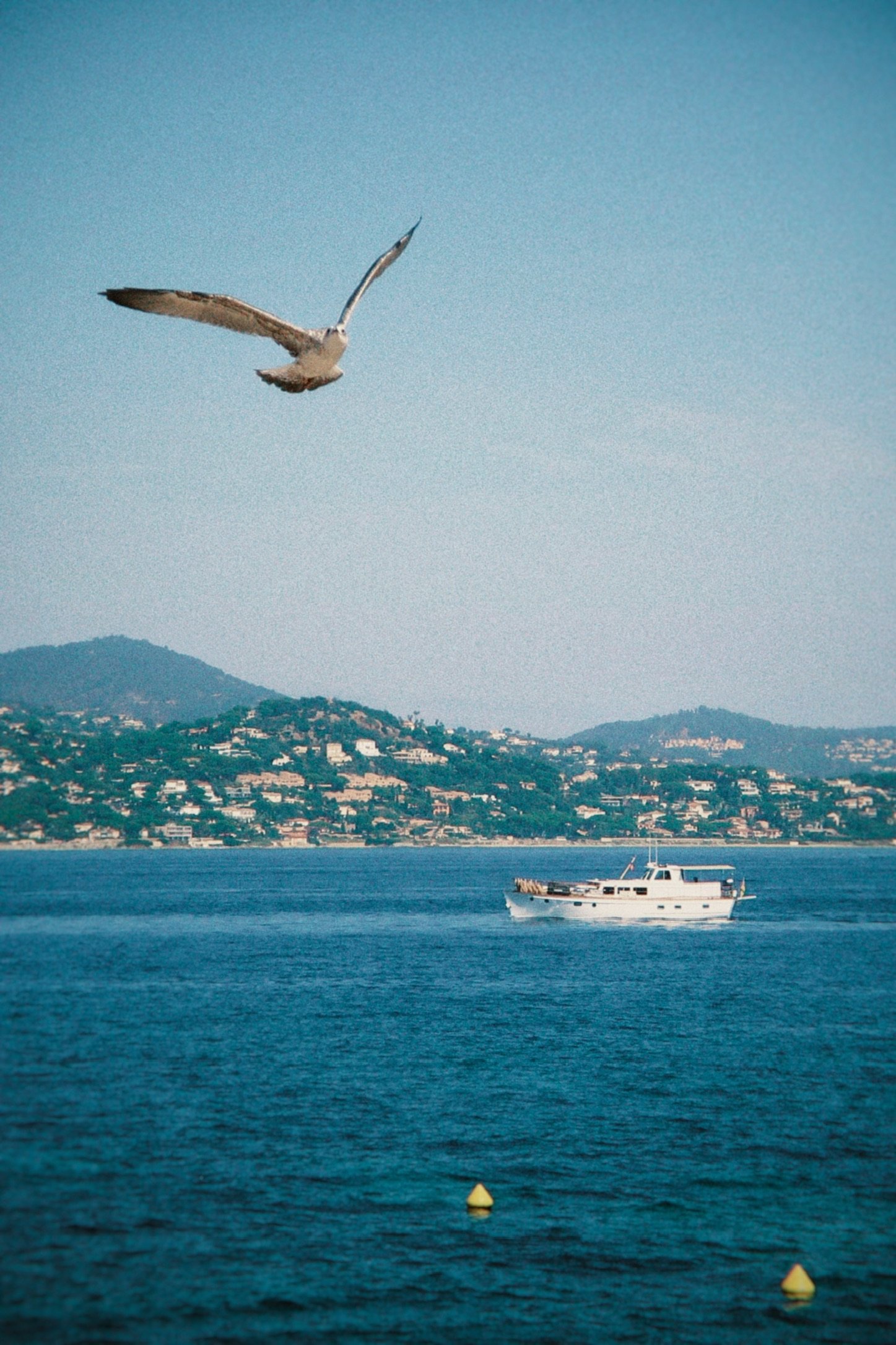 77198A68-8AA5-4B51-AE7E-3A1F7492F4A3_1_102_a.jpeg