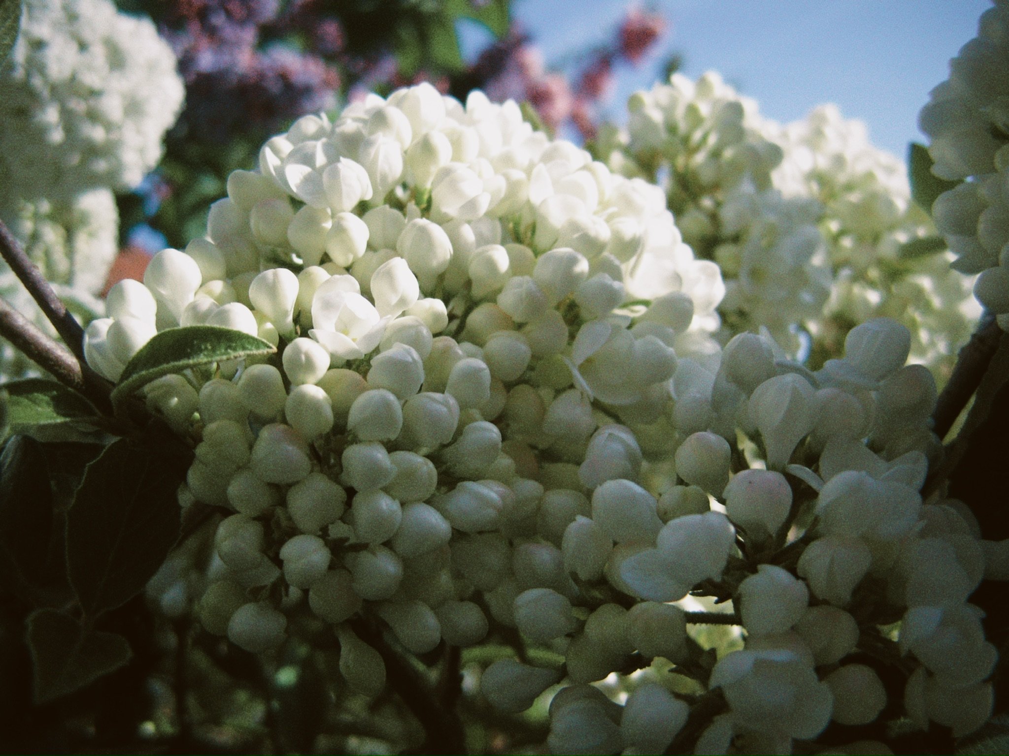 5C12724C-13BA-48B6-A70B-D25B9A463FC2_1_102_o.jpeg
