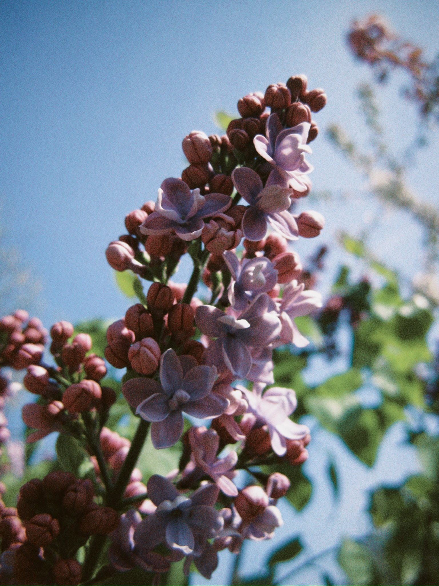 BA814A7F-4173-4EF1-B332-C5A61F2A6094_1_102_o.jpeg