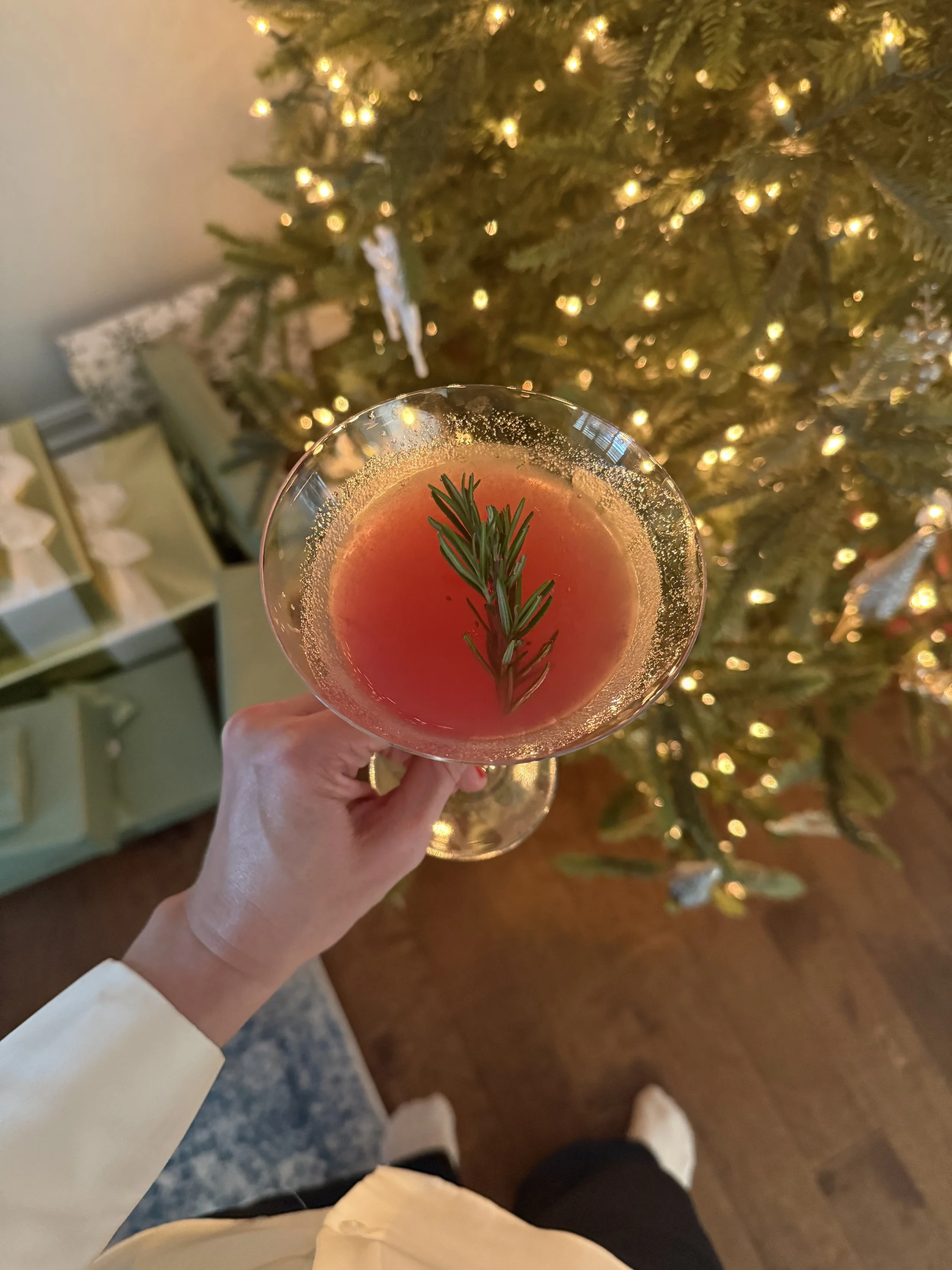 Spiced Cranberry Syrup 