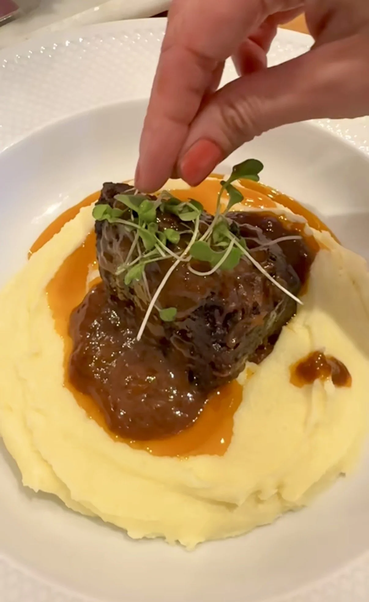 Red Wine Braised  Short Ribs