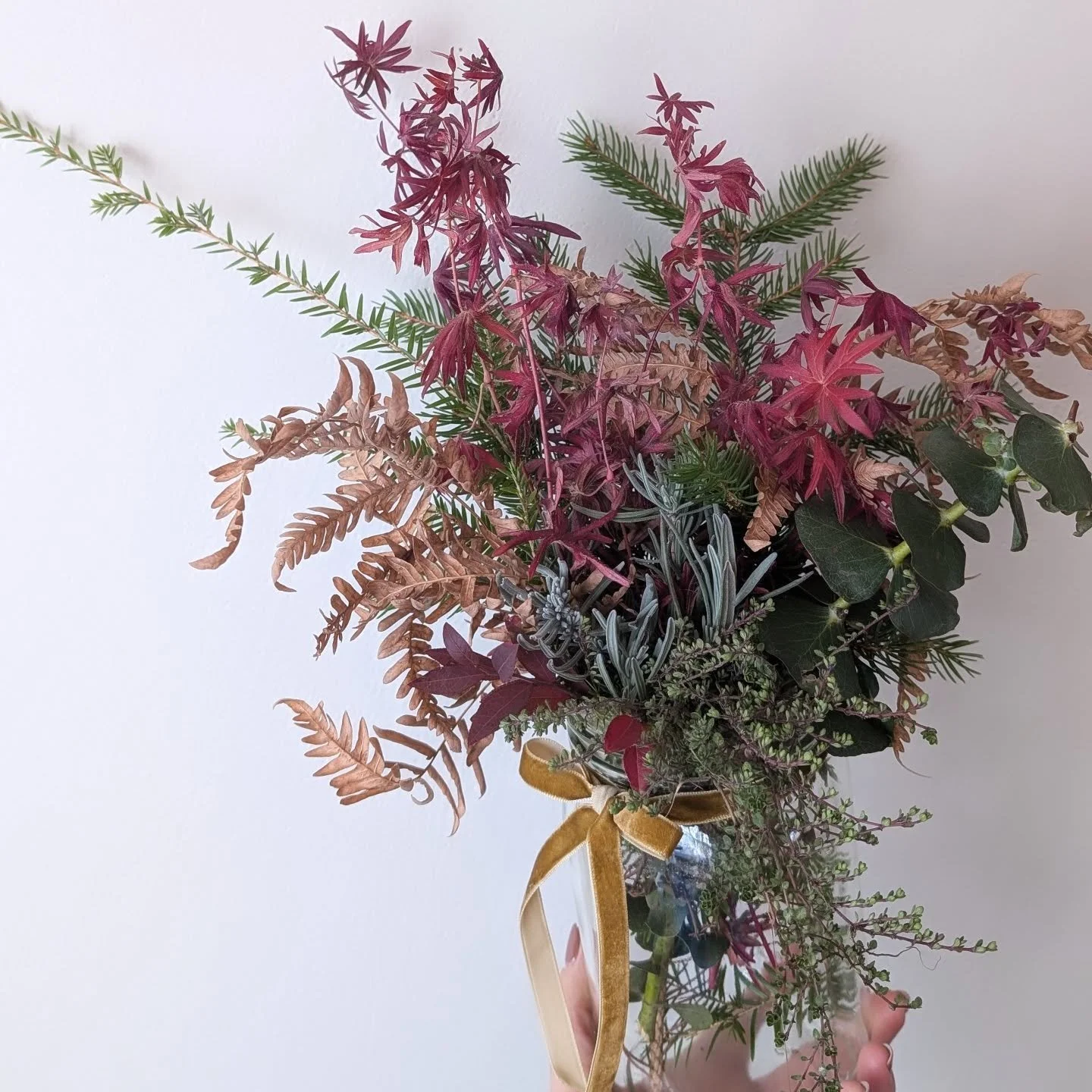 Finding beauty on our property even when everything is dead. Beauty in the seasons!