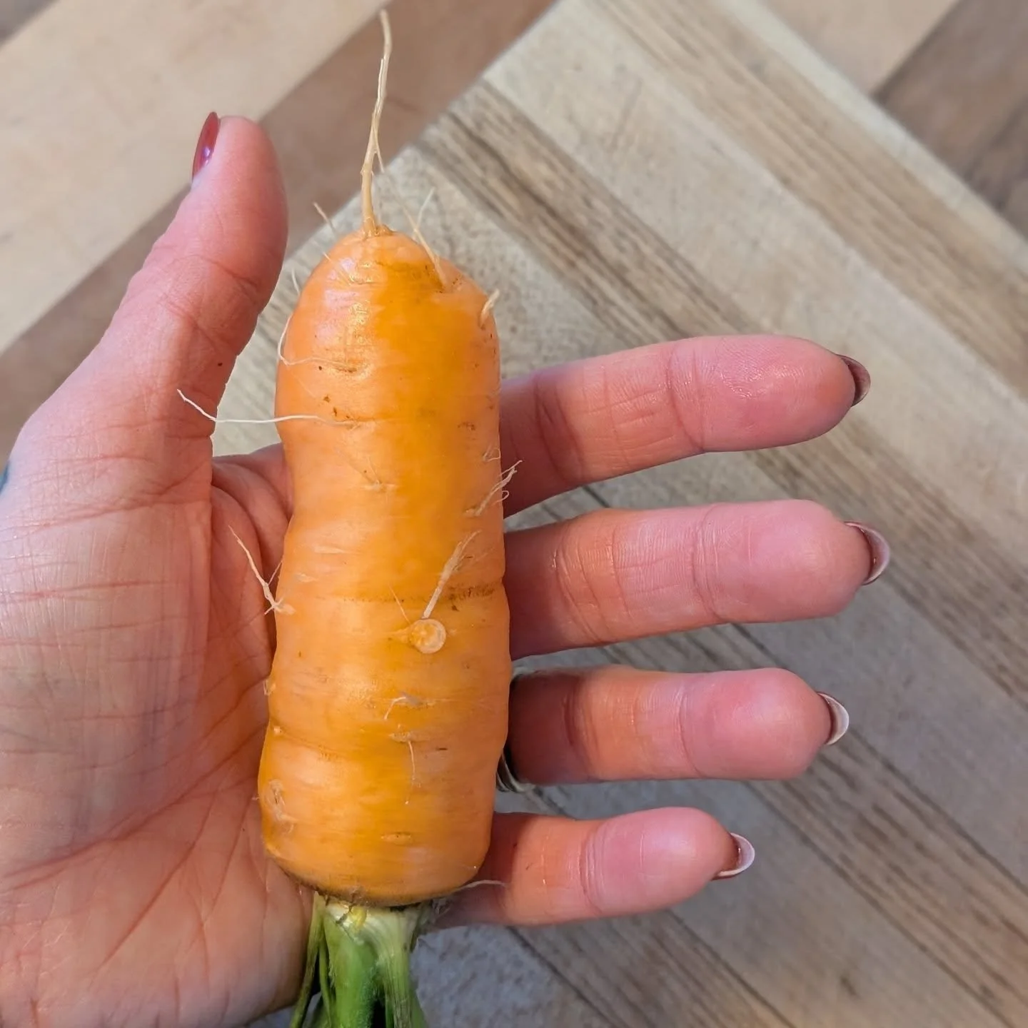 One last sweet treat hiding in the garden! 🤣