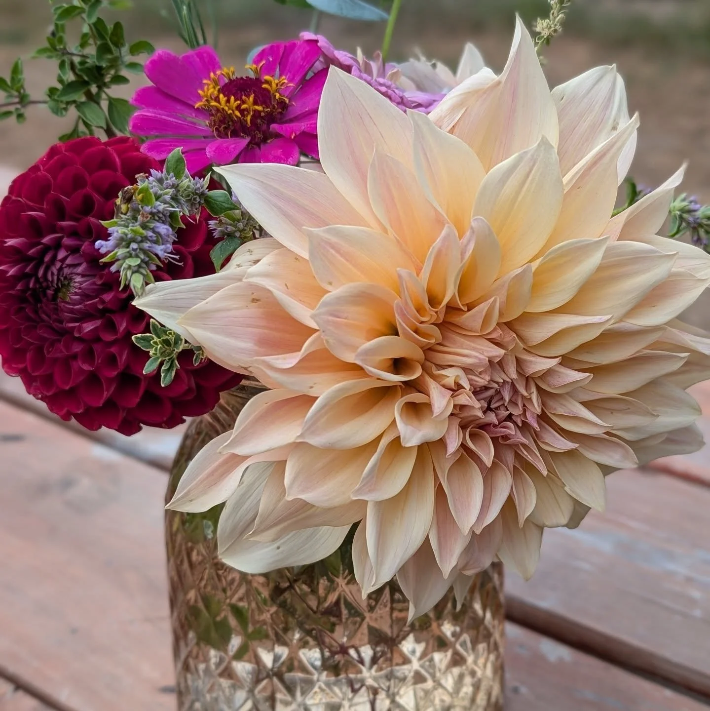 Always a sad day in the dahlia patch... The blooms have all browned from the frost. BUT, that's 68 days of blooms from the first bloom and that both amazes me and makes me smile!

Already dreaming of different colors I will try to get next season as 