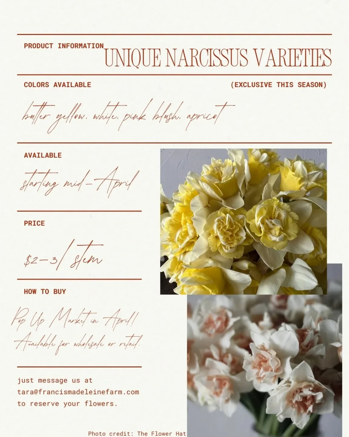 Winter's official exit as these blooms poke through the ground. 🌞

Specialty narcissus varieties are officially awakening at Francis Madeleine Farm and we are swooning with anticipation! 

Forget the standard yellow daffodils - these beauties are a 