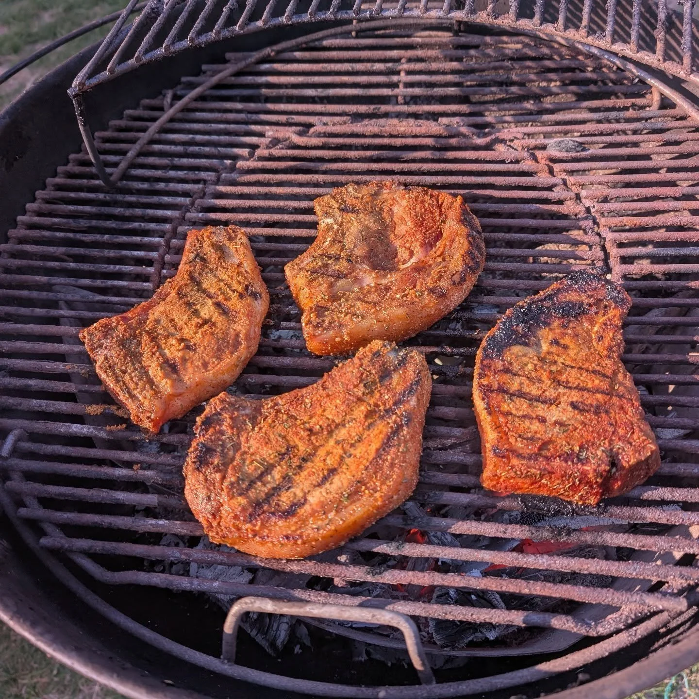 Home raised pork chops on the grill. The flavor is unmatched! Lots of pork deliveries so far, and still lots of pork left! Please DM us if you would like some! 💓🐖

We will have this and more at @ledgebrew next Saturday 4/25 from 2-6pm! Come visit u