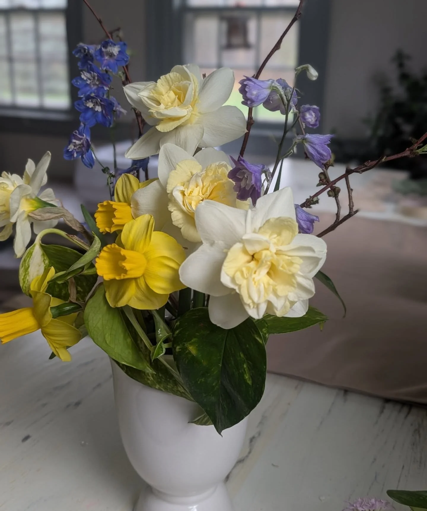 Mood lighting on these fancy daffs. These blooms are gorgeous and super long lasting in a vase!

Just look at this most perfect shade of butter yellow. 🤩