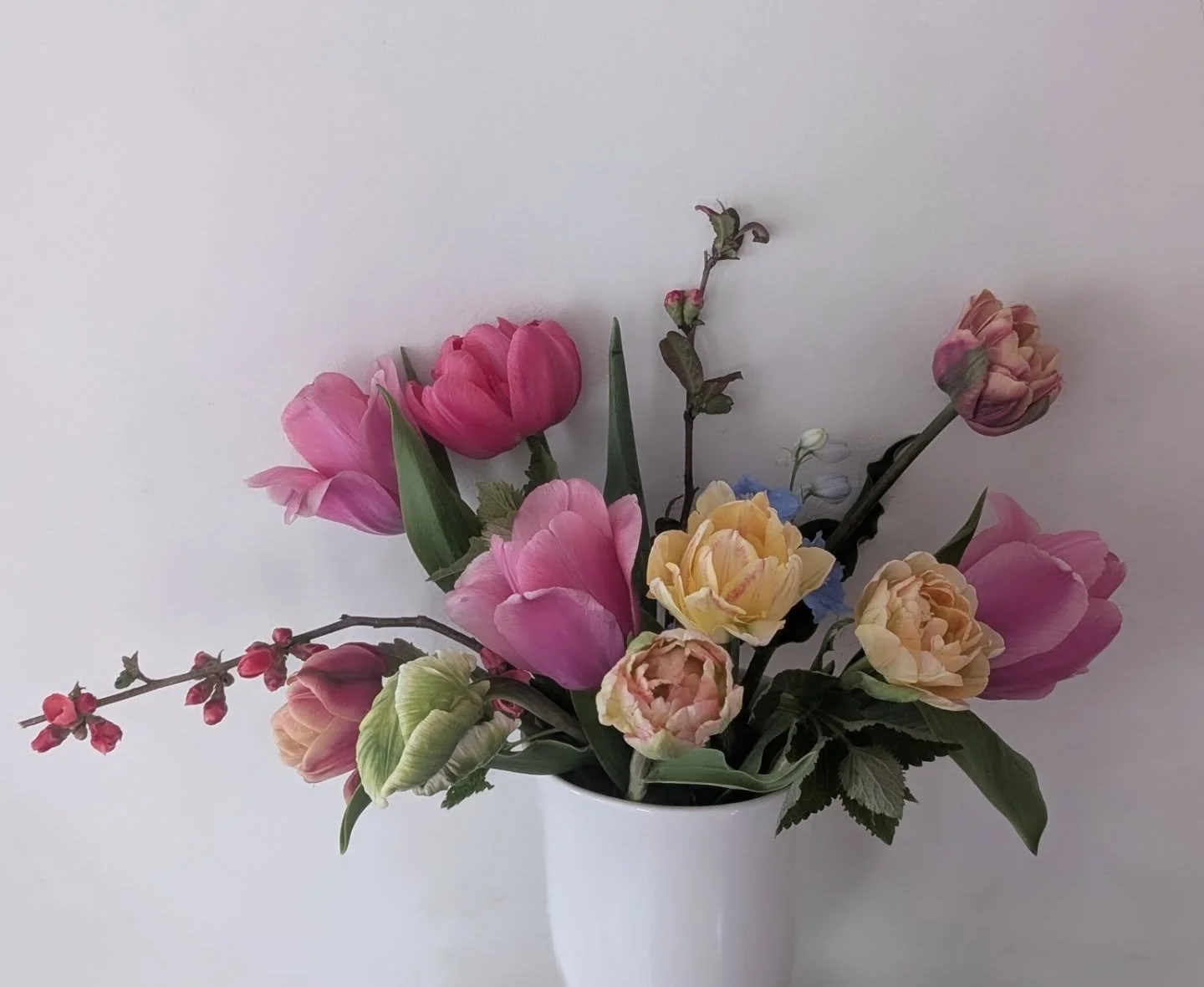 Some real tulip stunners out there right now! Picked these for myself! 💓