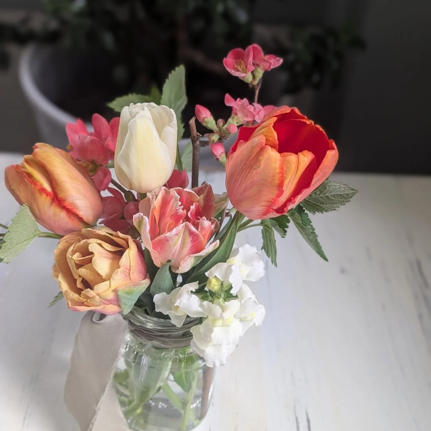 CSA customers get to experience the precise seasonality that our farm goes through. These two bouquets are only a week apart! Tulips are mostly done, but now eagerly awaiting peonies ranunculus, and anemones! Also the native lupines and lilacs are ju