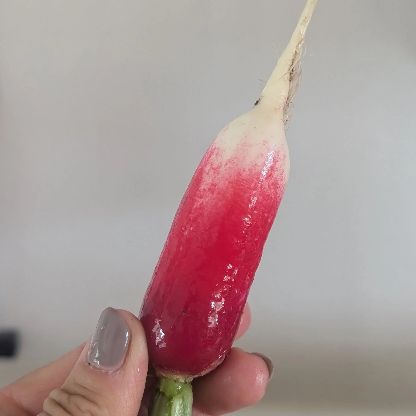 What's the pulse on radishes? 

I always plant them. They are beautiful, fast growing, and always one of the first crops available. But do I like them? I mean I don't NOT like them, but I'm not crazy about them like I am a crisp snap pea!

What do yo