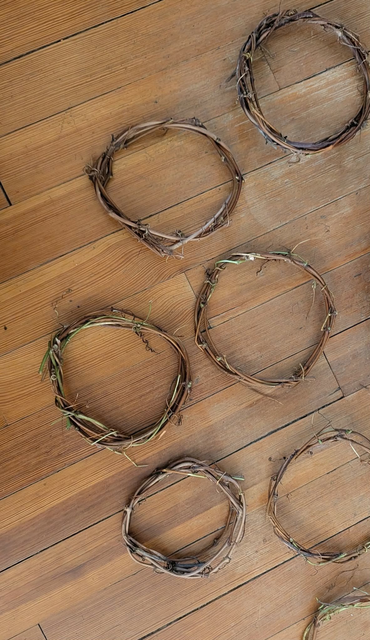 Hand-Foraged Mini Grapevine Wreaths (6-Inch)