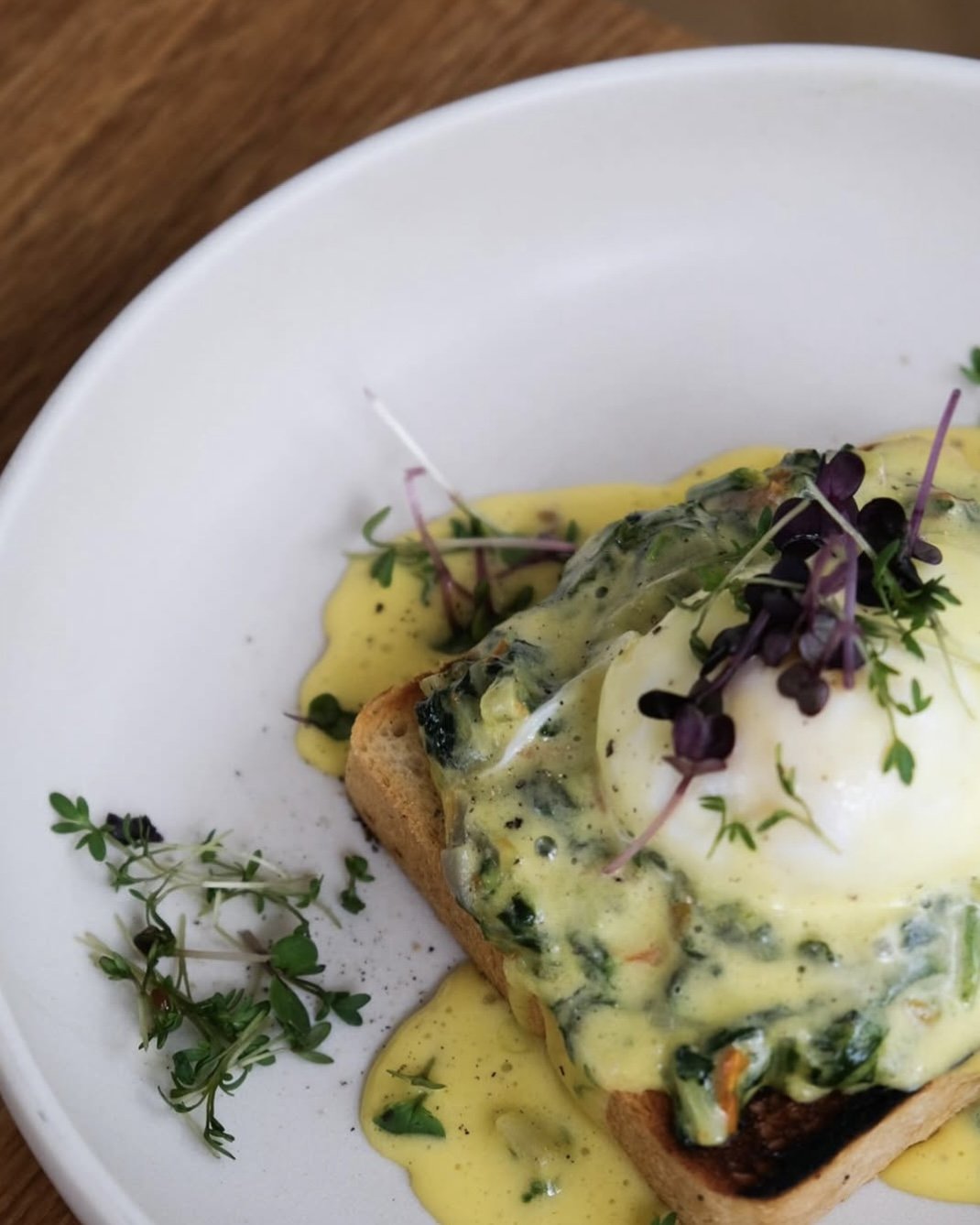 Ein Teller mit serviertem pochiertem Ei, Kräutern, cremiger Soße auf Toastbrot, garniert mit Microgreens.