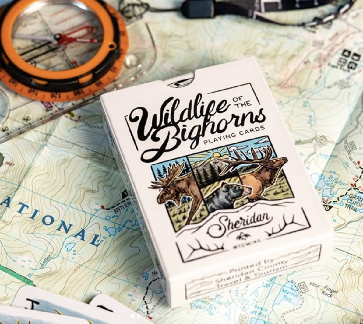 Screenshot 2026-01-20 at 11.10.12 AM.png