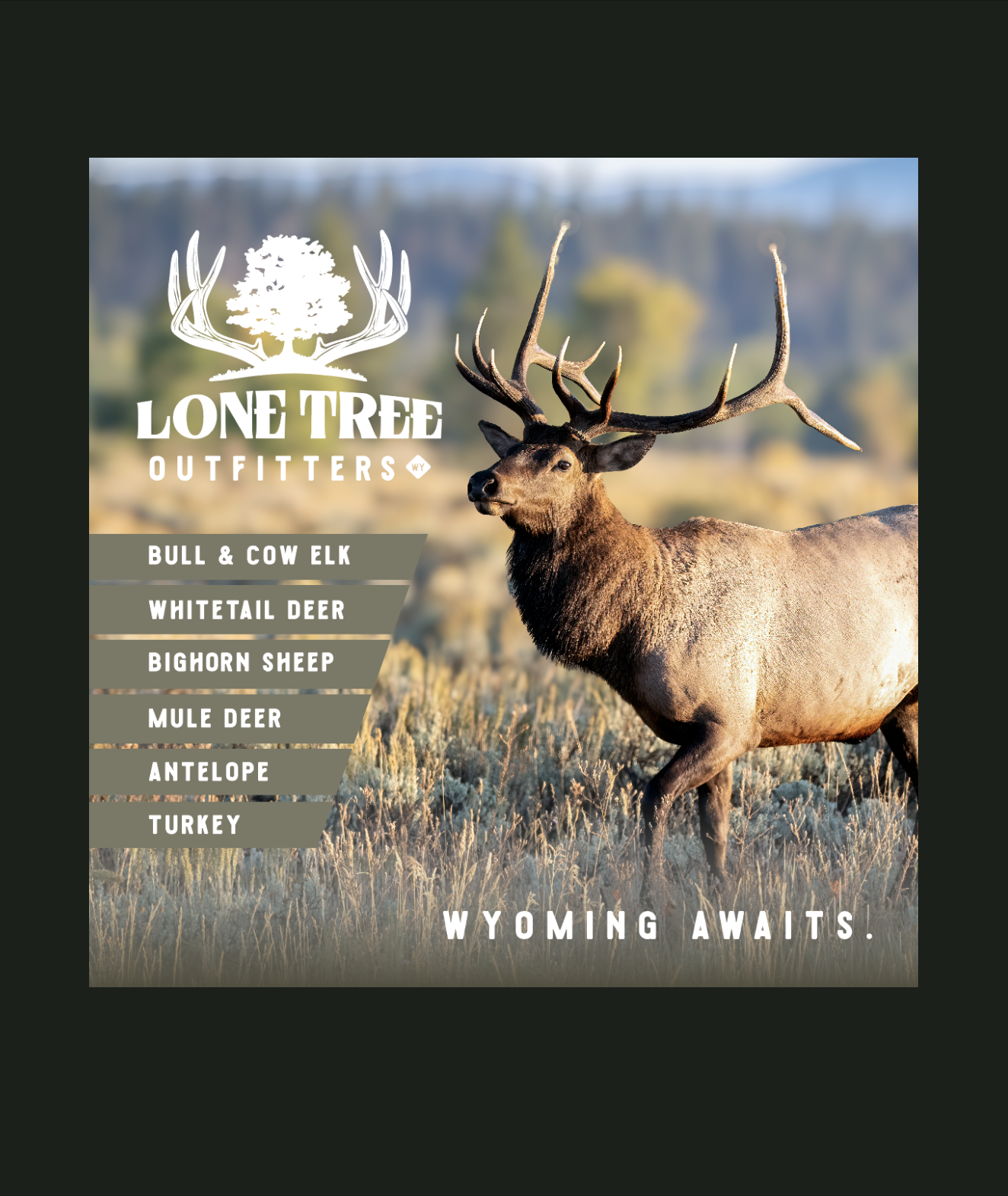 Screenshot 2026-01-20 at 11.35.15 AM.png