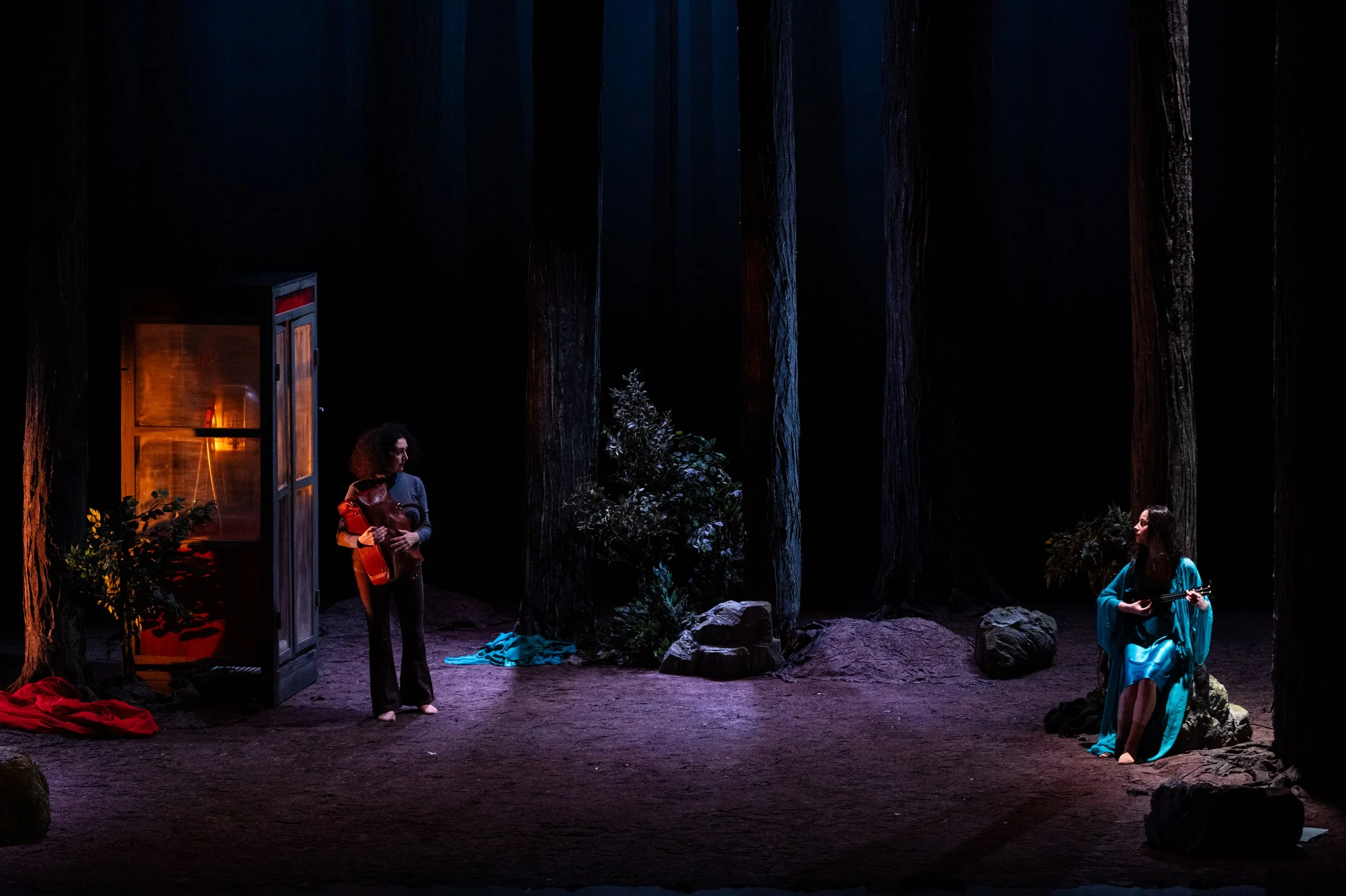 The Forest_ph. Alfredo Toriello-5.jpg