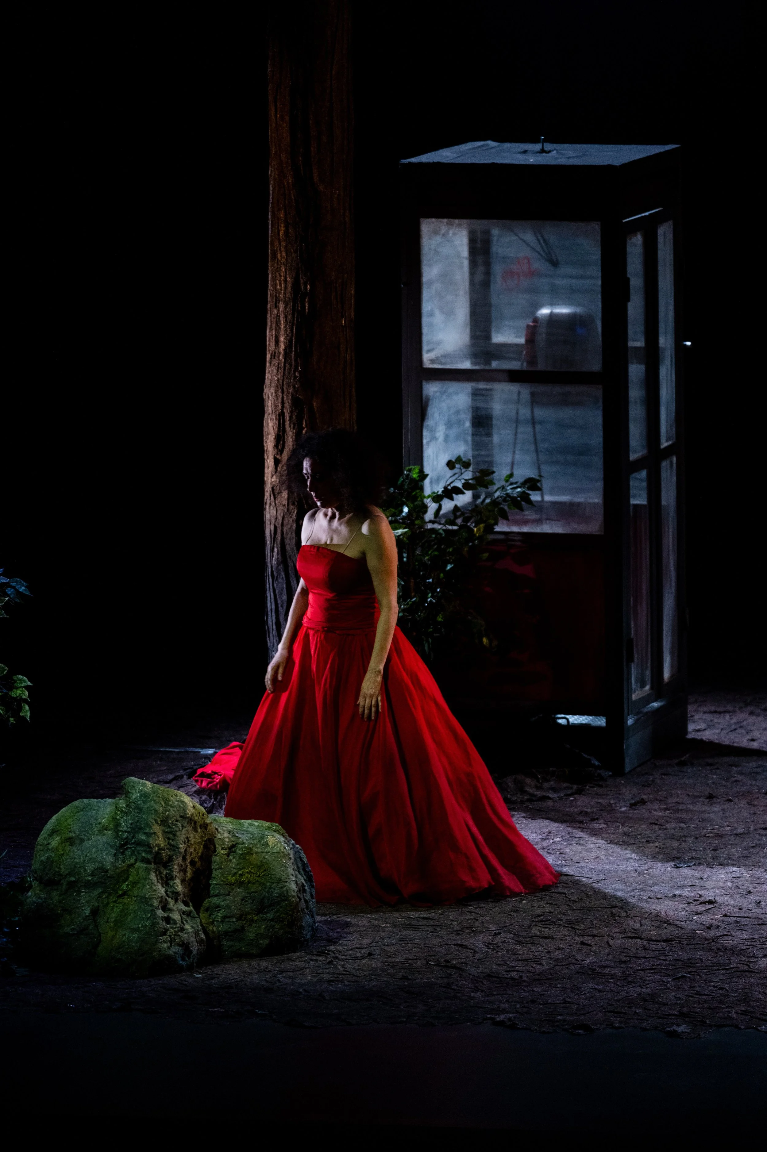 The Forest_ph. Alfredo Toriello-18.jpg