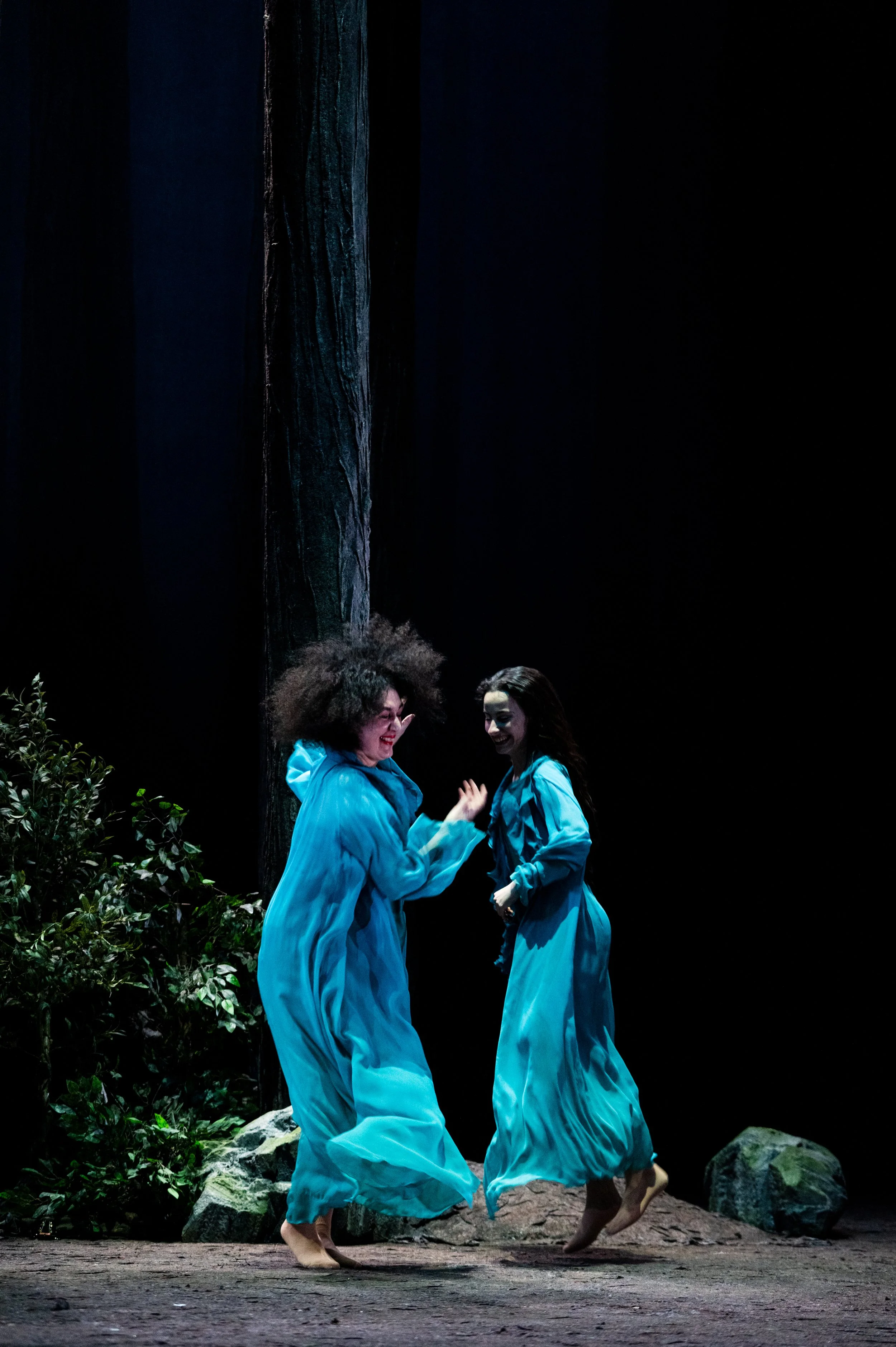 The Forest_ph. Alfredto Toriello-4.jpg