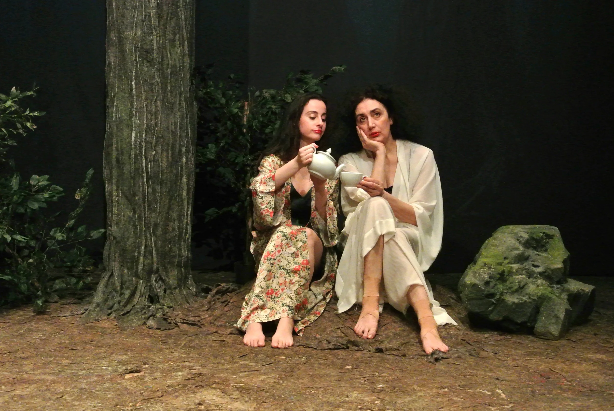The Forest_ph. Antonella Carrara 1.jpg