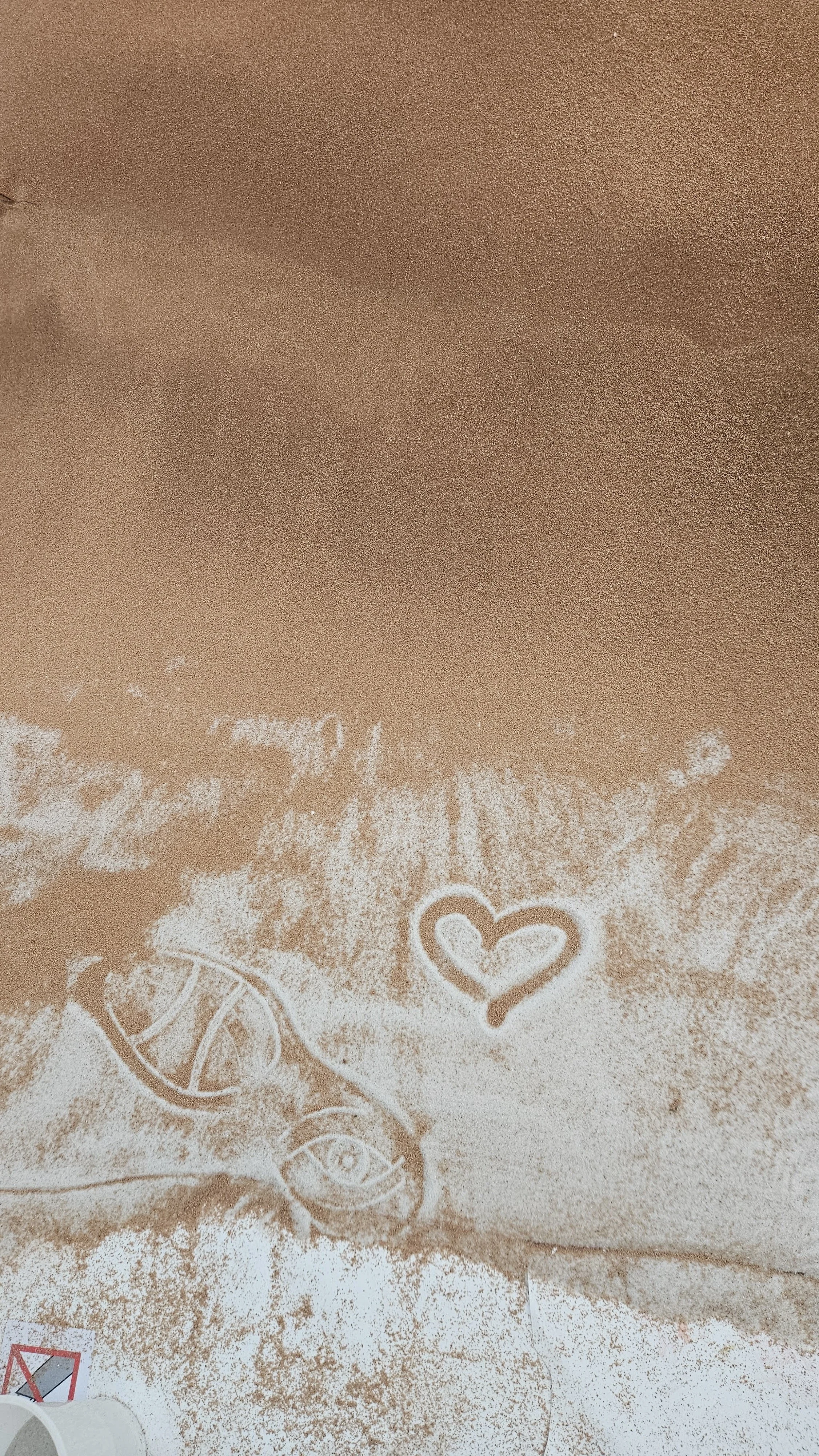 20260307_141303.jpg