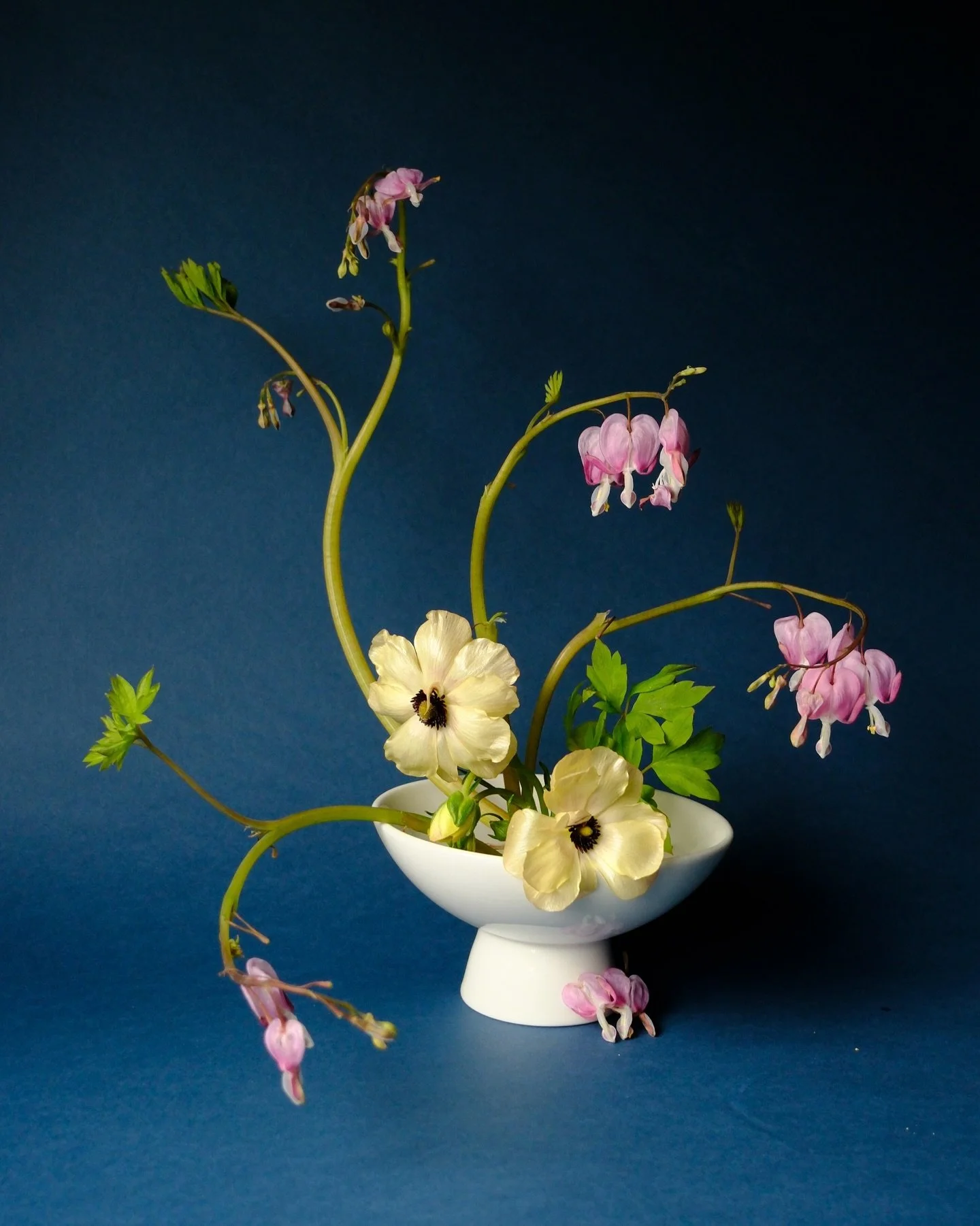 *immediately purchases bleeding heart plants*

#modernflorals #modernflowers #austinflorist #atxflorist #contemporaryfloral