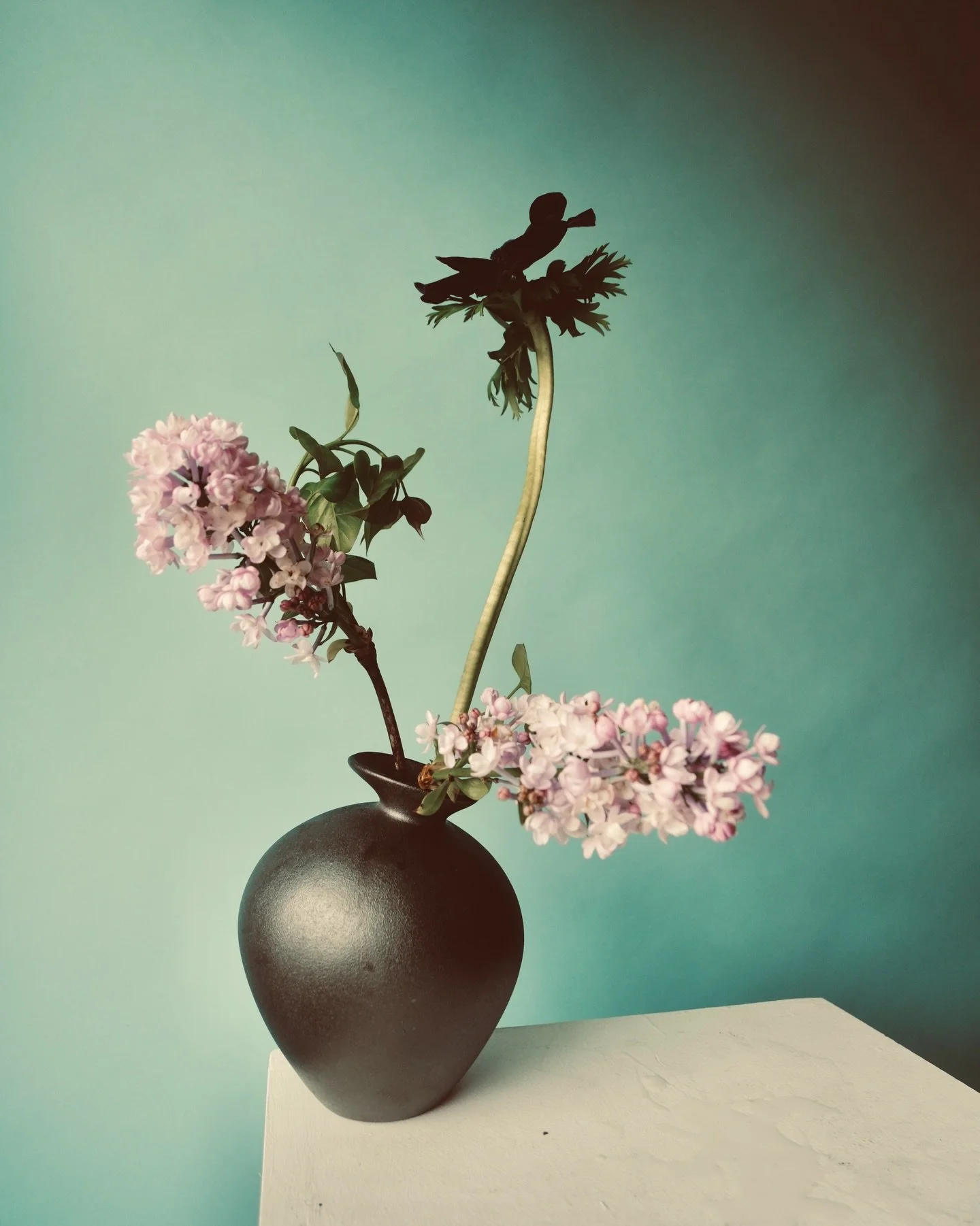 Iilac &amp; anemone 🩵

.
..
.

#austinflorist #austinweddingflorist #floralphotography #contemporaryflowers