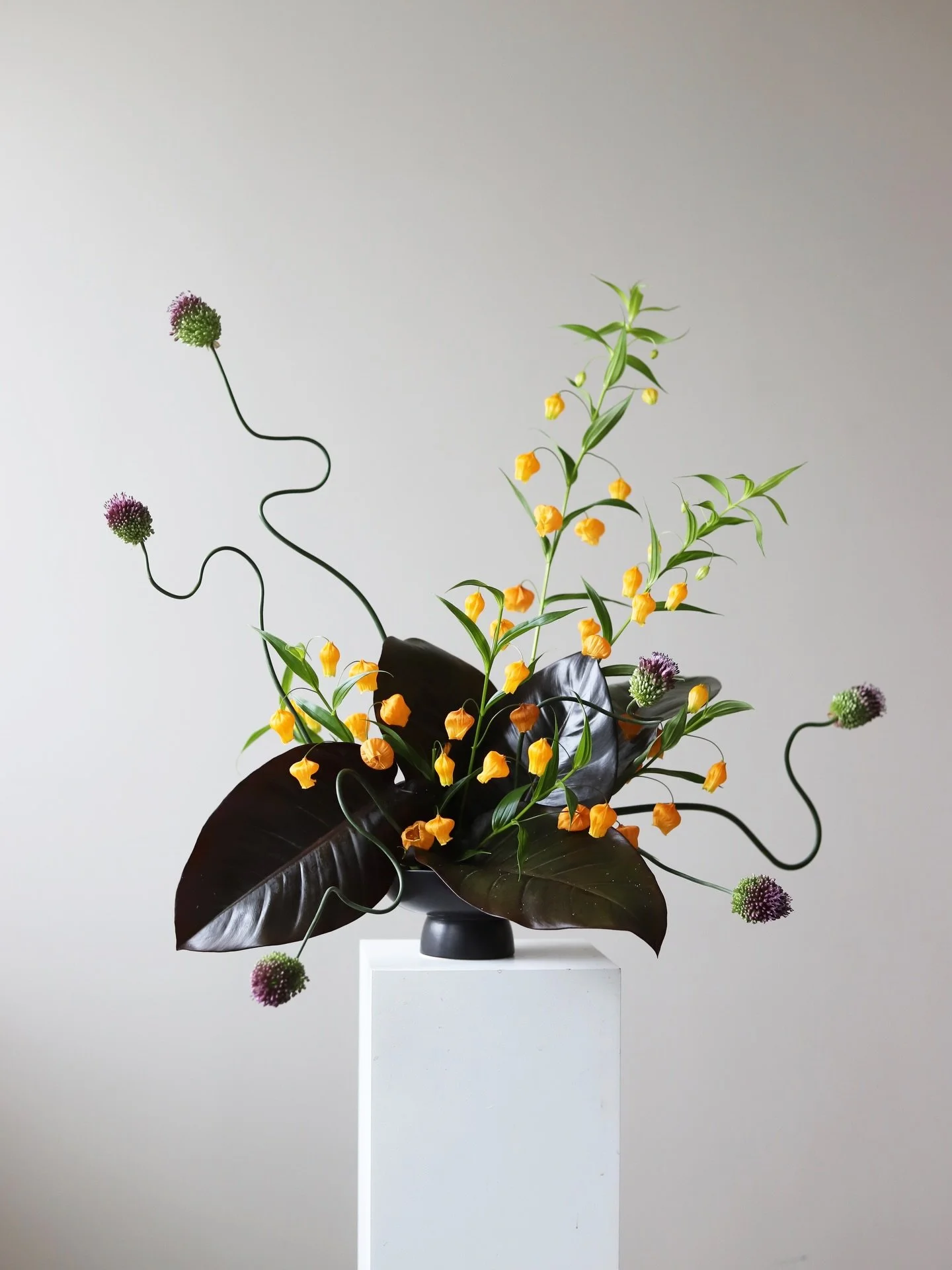 sandersonia + snake allium !! 🥹🩵

#floralcomposition #contemporaryflowers #austinflorist #atxflorist #austinweddingflorist