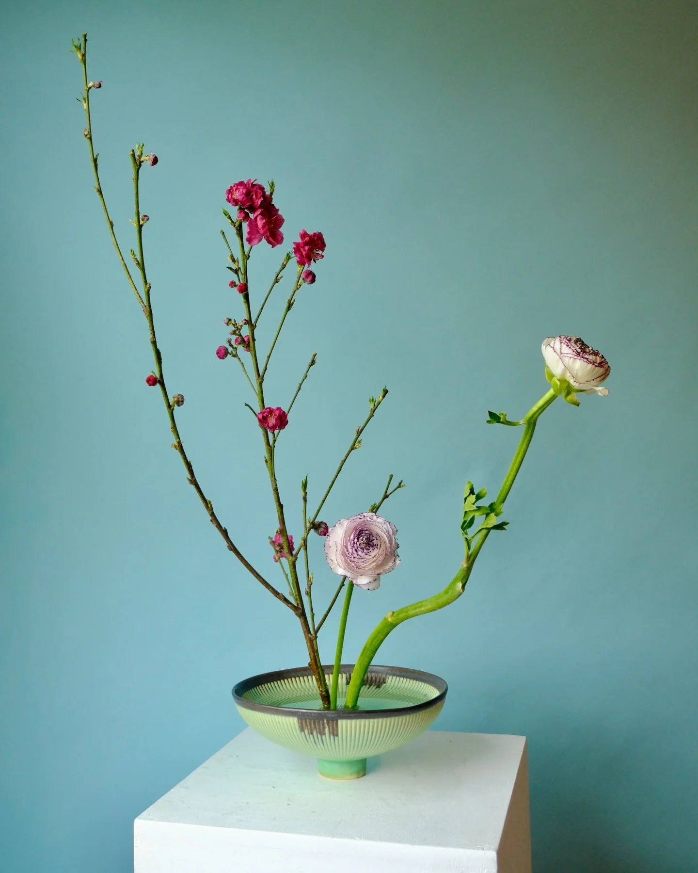 Apricot blossom + ranunculus 🩵 ps I&rsquo;m obsessed with this vessel which may or may not have been intended to be a ramen bowl

#ikebanafreestyle #contemporaryflowers #austinflorist #atxflorist #austinweddingflorist