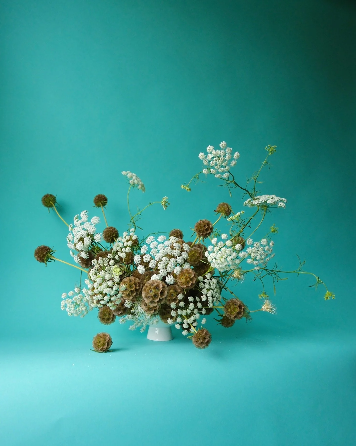 I loooove her 🩵 Queen Anne&rsquo;s is a special flower to me. When I was working my first flower shop job in college, it really captivated me like no other. The airiness of an in-season bunch is unlike anything else. 

#flowercomposition #austinflor