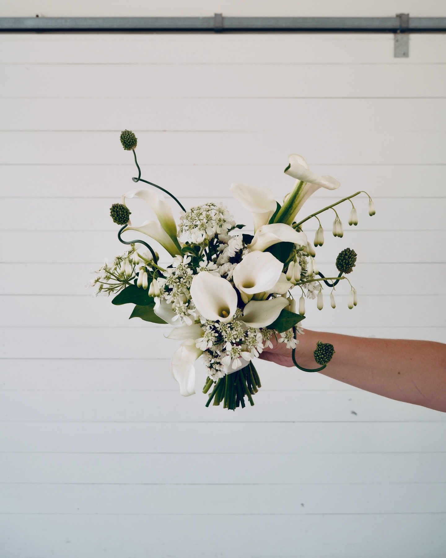 Can&rsquo;t get enough of that snake allium 🩵 

#bridalbouquetideas #austinflorist ##mayeshfloristryisart #austinweddingflorist whiteweddingflowers