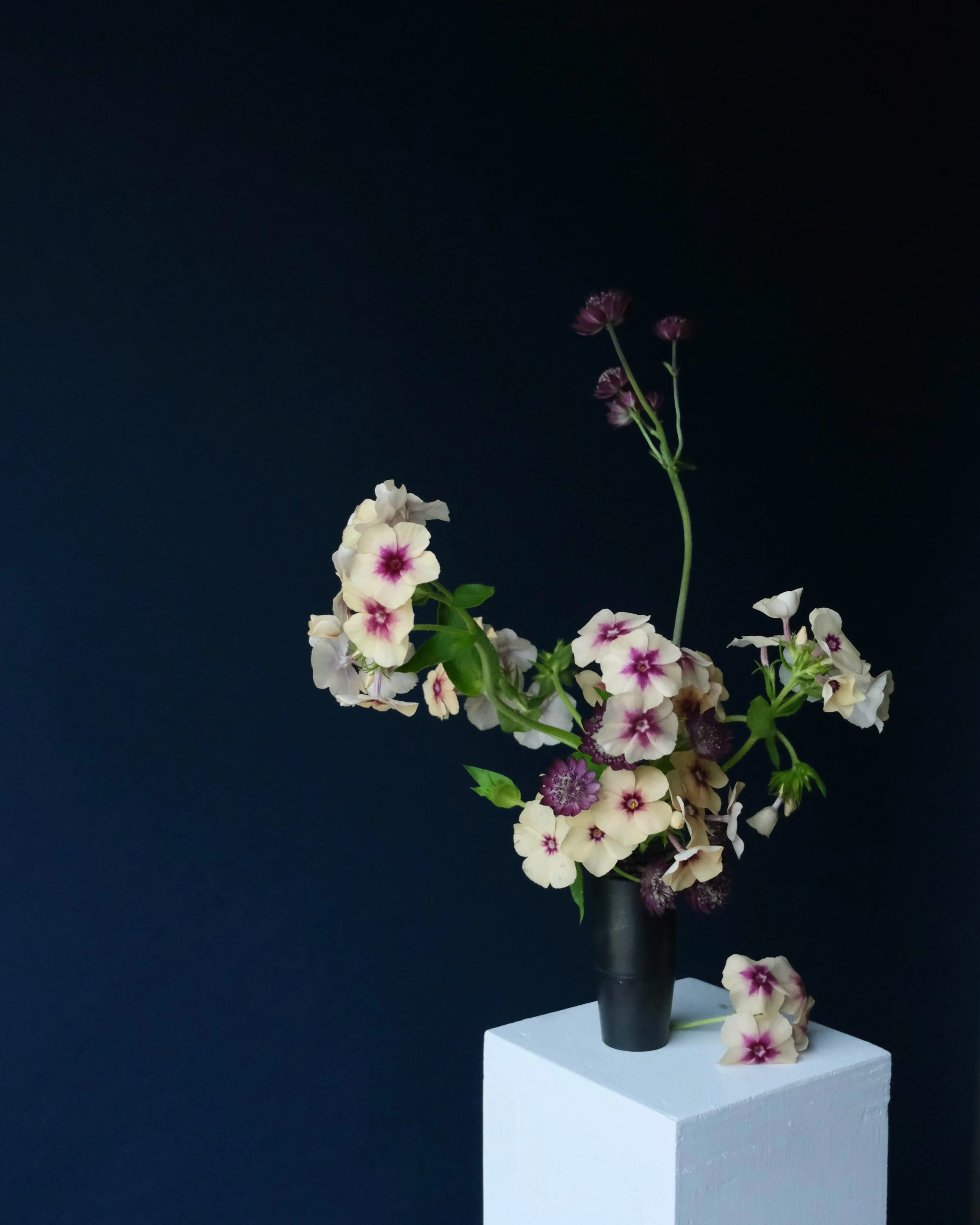 leftovers. 🩵

#mayeshfloristryisart #flowercomposition #austinflorist #austinweddingflorist