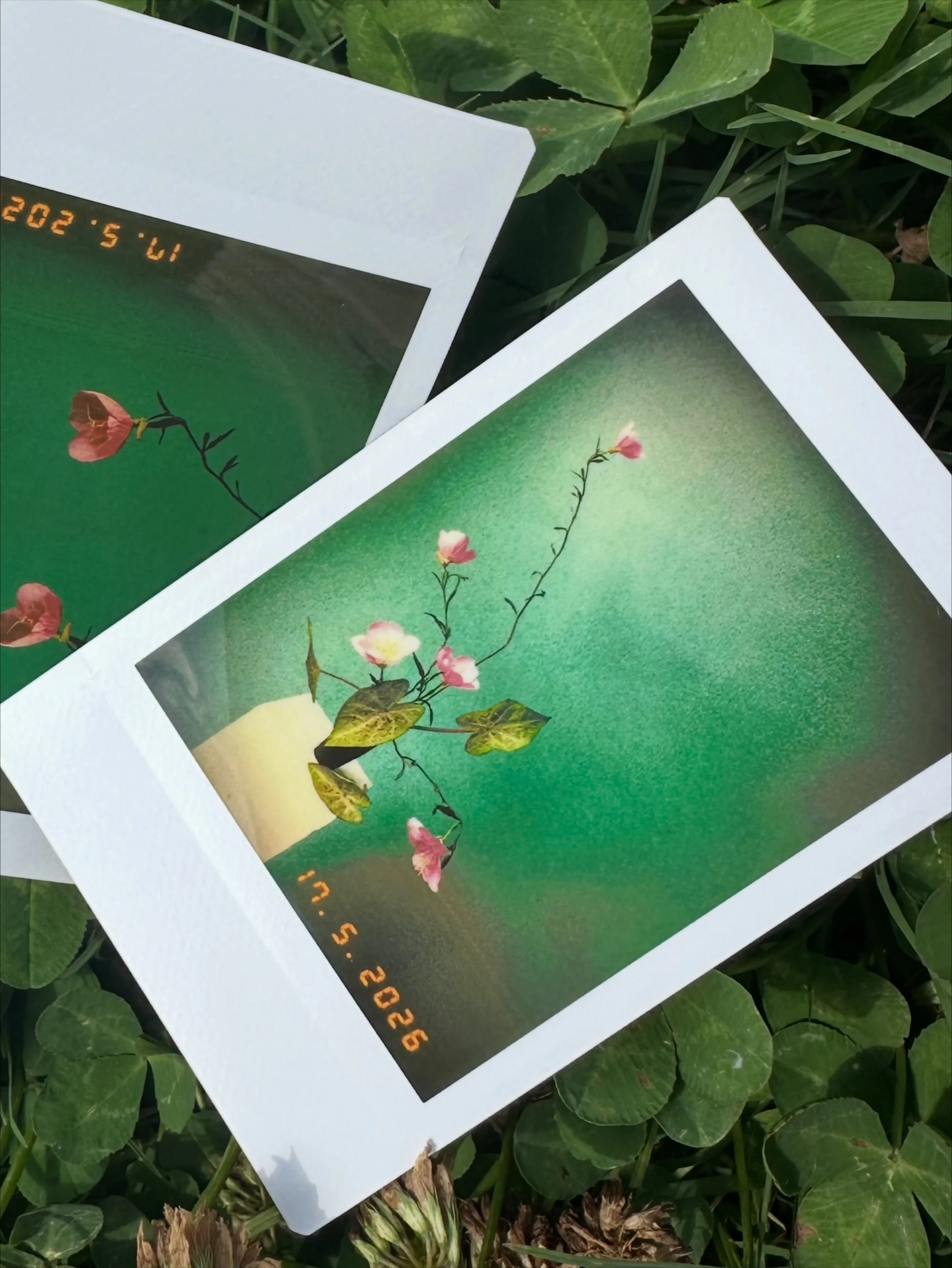 If you need me, I&rsquo;ll be having a Polaroid summer with my garden 🩵

#fineartfloral #austinflorist #austinweddingflorist #contemporaryfloral #instaxevo