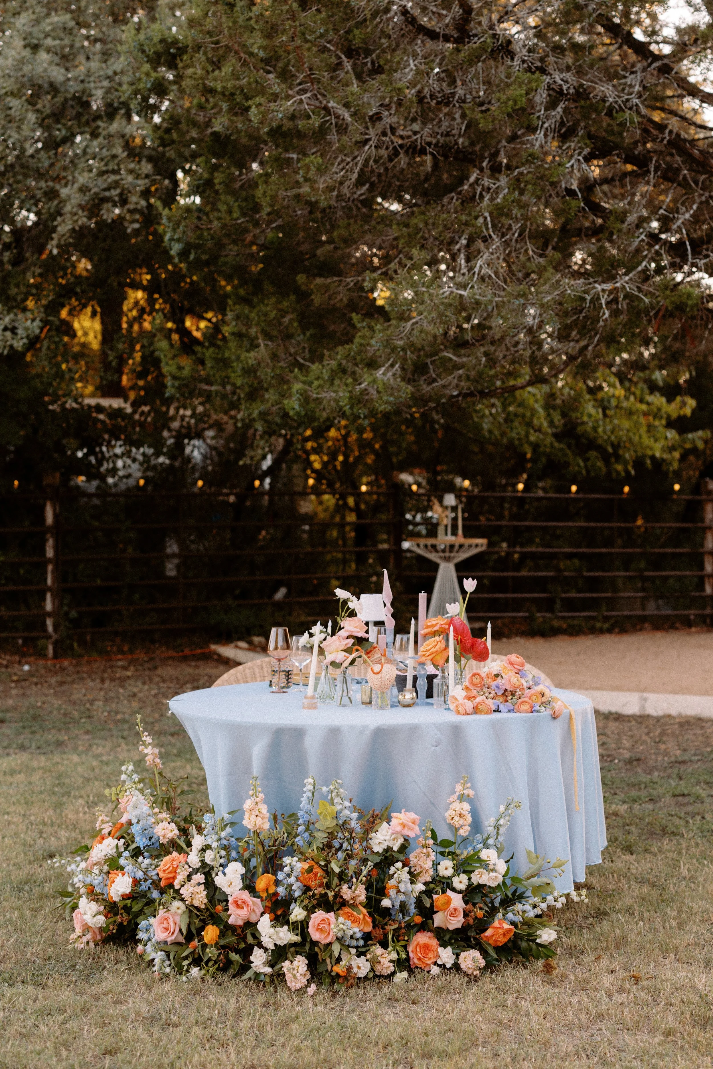 Diana Ascarrunz Photography