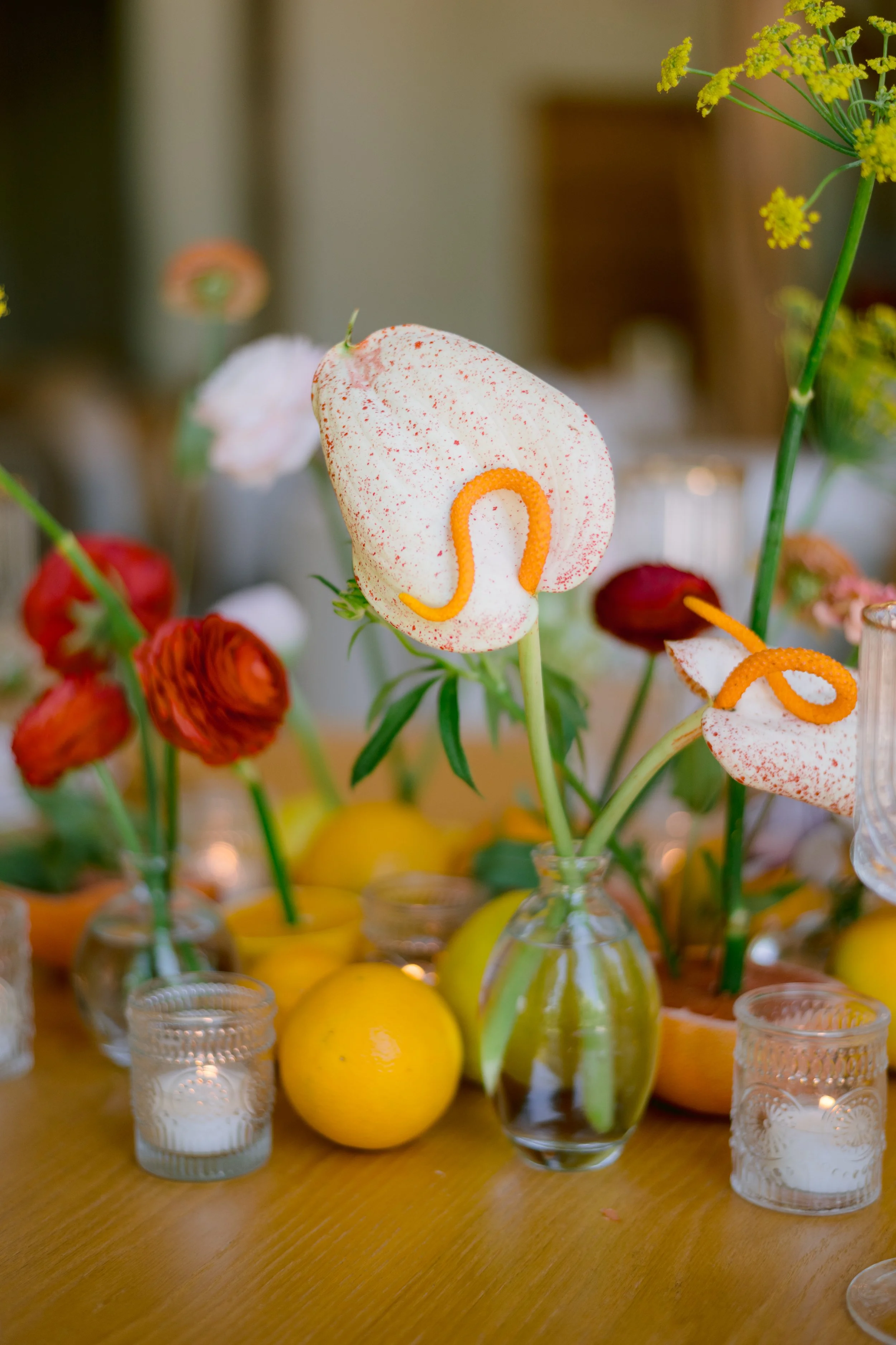 Yazmin Moreno Photography