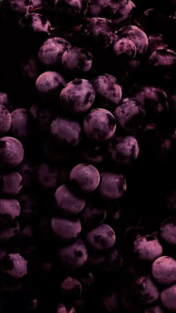 Macro photo of deep purple blueberries on a dark backdrop - symbolising root nourishment, seasonal restoration, and functional health.