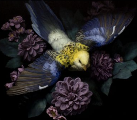 Moody flatlay of a vibrant blue, yellow, and white bird illustration surrounded by dark purple and pink flowers - evoking depth, detail, and creative introspection.