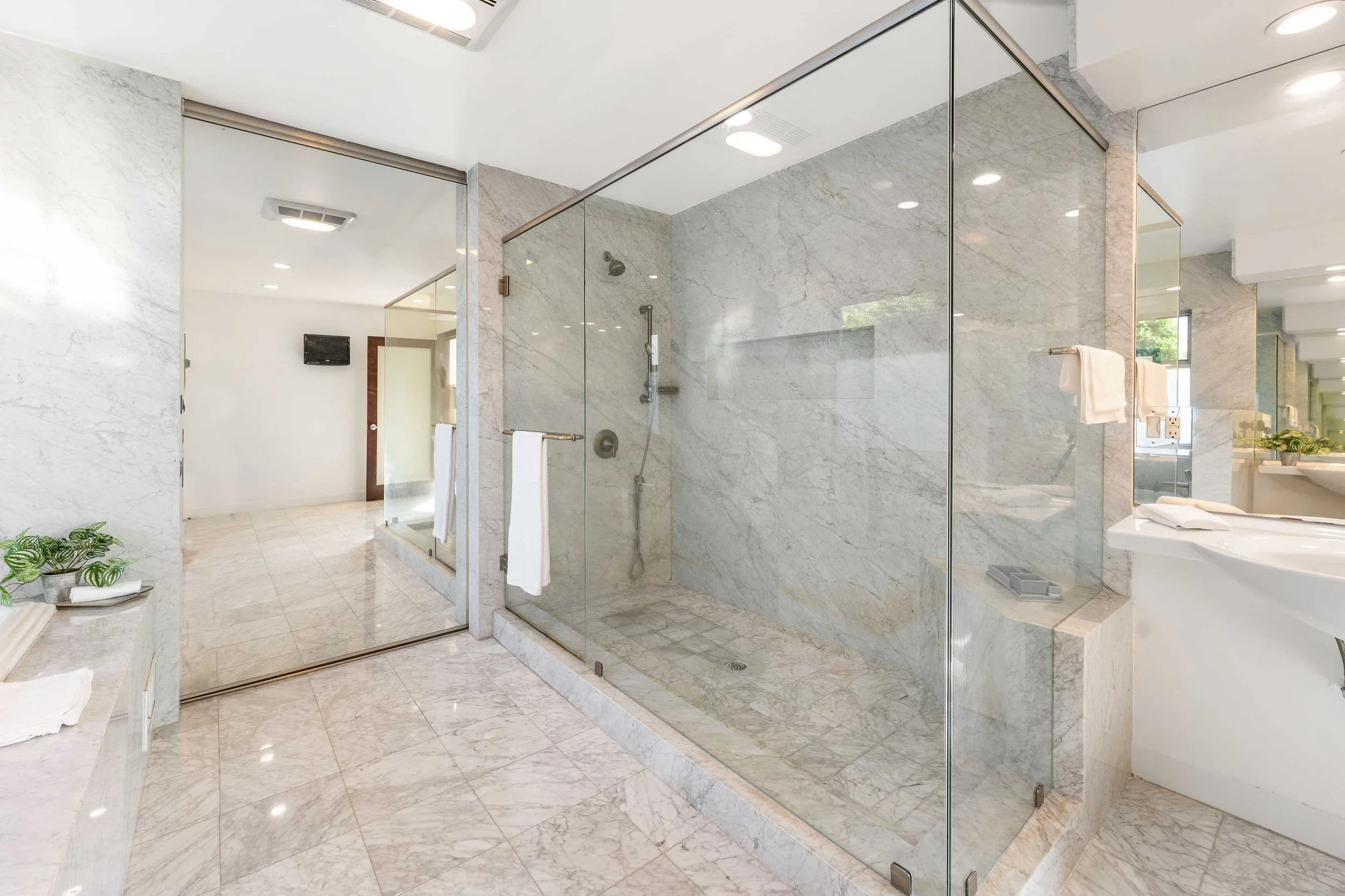 Modern bathroom with a marble shower enclosure and glass partition, white walls, and a light-colored marble floor, with towel racks and a plant in the corner.