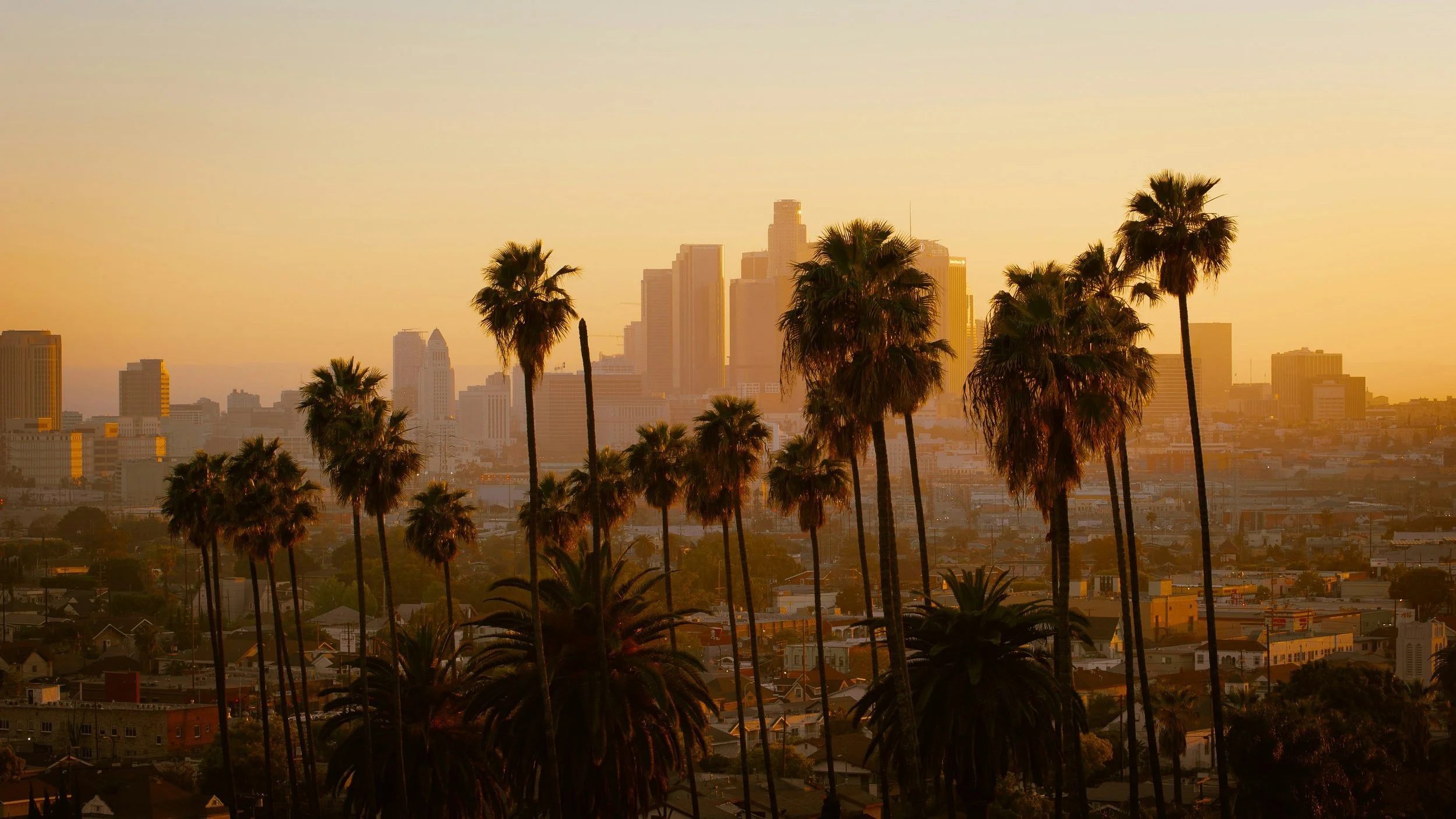 City scape view of Los Angeles at dusk 