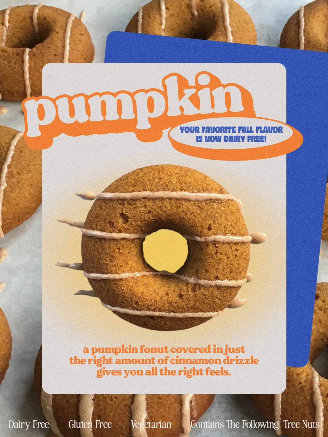 Package of dairy-free pumpkin donuts with orange and blue design and a pumpkin-shaped doughnut on the front, decorated with cinnamon drizzle.